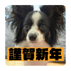 vonurigosso_20211227160946