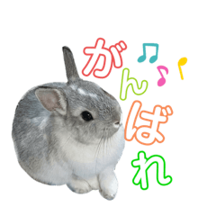 tororo_everyday – LINE stickers | LINE STORE