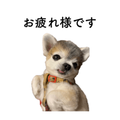 Hannah_20211227183259