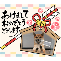 toranosuke_20211227184034