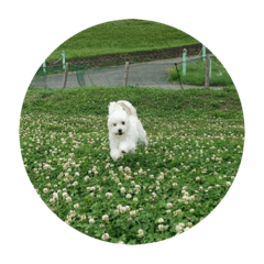 mizuki_20211227201204