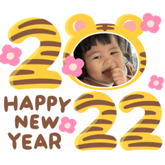 ai_20211227204425