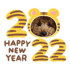 kuu_2022