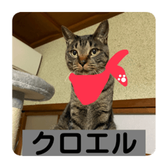 YUN_20211227221059
