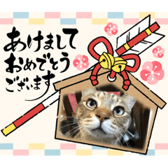 Rina_20211227223854