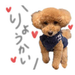 miki_20211227231823