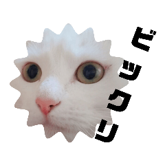 hana_20211228070822