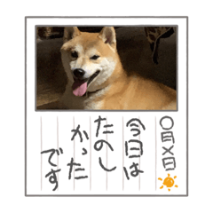miko_20211228065231