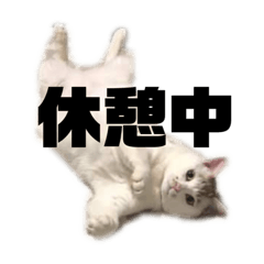 Yuka_20211227212023