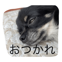 Hana_20211227215413