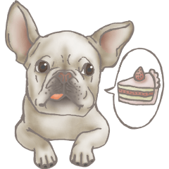 Foodie French Bulldog's daily life