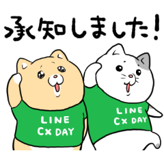 CX DAY × Crying cat's name is Kyi