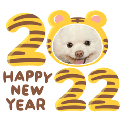 PEACE_20211227223713
