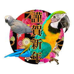 Bird Life Happy and Wonderful New Year!