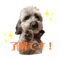 mizuki_20211228001151