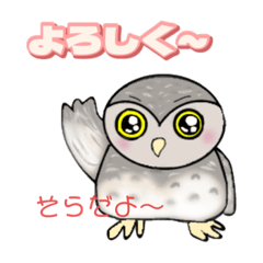 ふくろう そらのスタンプ