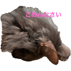 tanuki_20211228125637