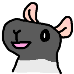 Charming rat (black caped)