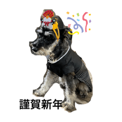 Emily_20211228155431