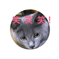 misa was