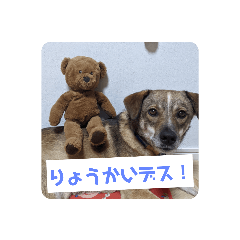 SAYURI_20211228194556