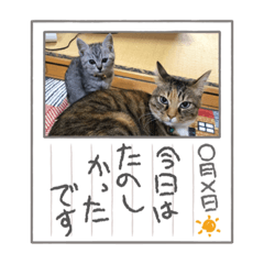yuka_20211228221415