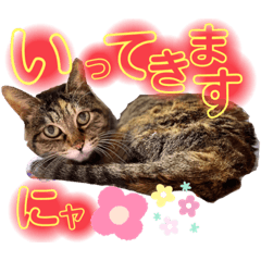 KAORI_20211228235802