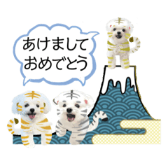 マルチーズ Lineクリエイターズスタンプまとめ Stamplist マルチーズ Lineクリエイターズスタンプまとめ Stamplist