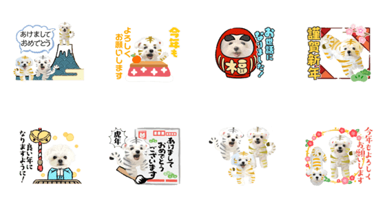 虎マルチーズ で新年のご挨拶 Lineクリエイターズスタンプ Stamplist 虎マルチーズ で新年のご挨拶 Lineクリエイターズスタンプ Stamplist