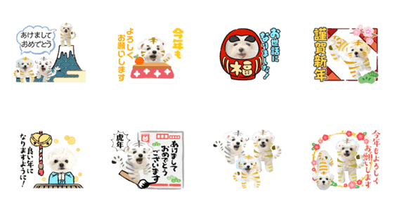 虎マルチーズ で新年のご挨拶 Lineクリエイターズスタンプ Stamplist