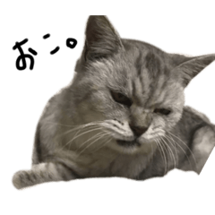 Cheeeese_20211229095536