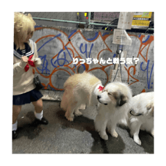 kurh0_20211229113616