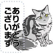 A lot of cats [Sitting cat 4]