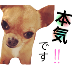 kojiro friend Lala