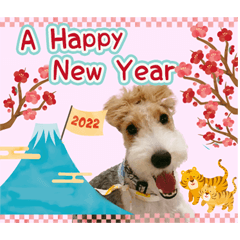 JILL's Tiger Gao New Year Sticker