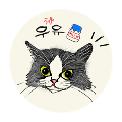 kitty speaking Korean