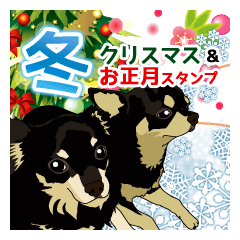 Chihuahua Coco & Louis.Winter Sticker
