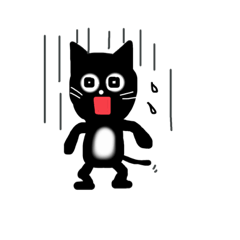 おなか白い黒ネコさん2