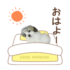 HANA_20211229164441