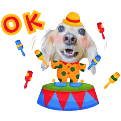 我是可愛的豆豆-歡樂馬戲團篇