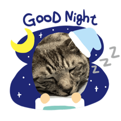 Pretty stamp of my cat