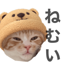 yuka_20211229122943