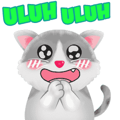 Awas Kucing!