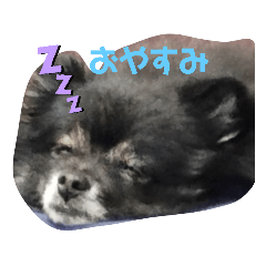 daichi_20211229194306