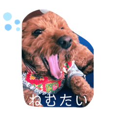 SO_20211229195128