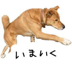 hana_20211229205713