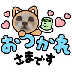 ああああああああd