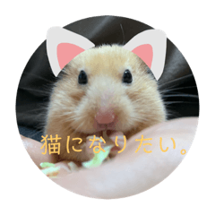 RIHO_20211229153521