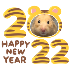 RIHO_20211229170313
