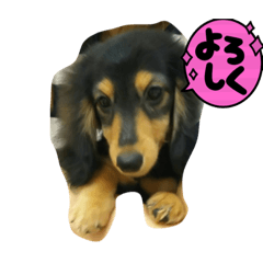 Hana_20211229225835